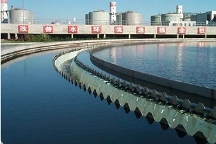反硝化浮泥該如何預防？你知道嗎？