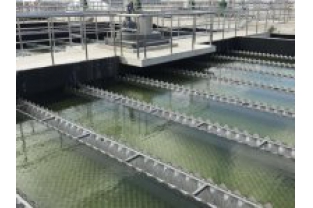 【干貨】有機(jī)物導(dǎo)致的氨氮超標(biāo)?這種情況該如何處理呢？