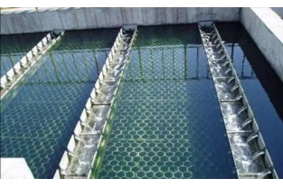 【干貨】生物濾池為什么一受沖擊氨氮去除率就會下降？