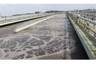 【重要】水中溶解氧越高，處理效果越好么？
