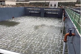 碳源的價格水漲船高，污水廠如何減少碳源投加量來降低成本？