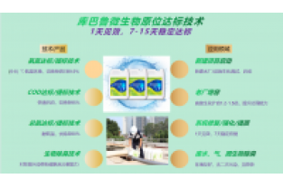 春節(jié)復工，生化系統(tǒng)快速修復，確保污水達標排放