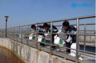 碳氮比失調，總氮超標怎么辦