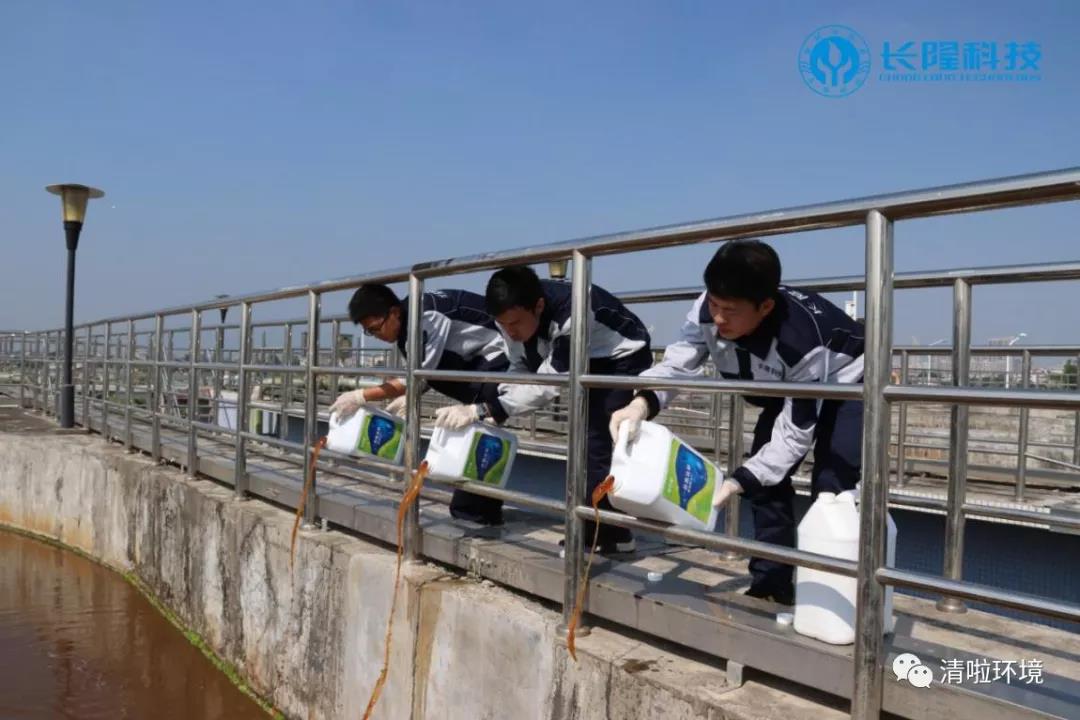 碳氮比失調(diào),總氮超標怎么辦