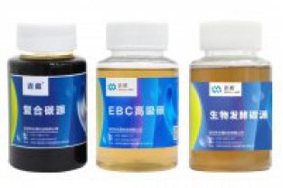 在設(shè)計污水處理系統(tǒng)時，如何評估碳源負(fù)荷？