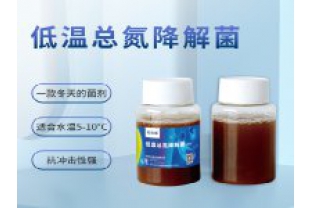 反硝化細(xì)菌在污水處理中的具體應(yīng)用是什么？